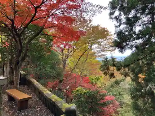 大山寺(神奈川県)