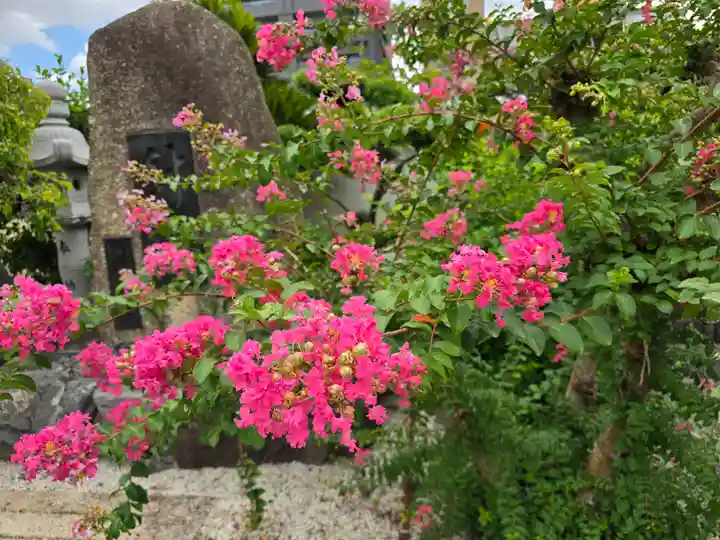太平寺(大阪府)