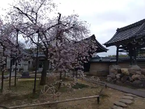 城福寺(福井県)