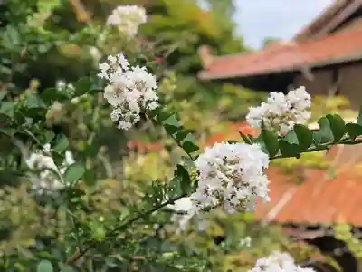 木舟山　順教寺の自然