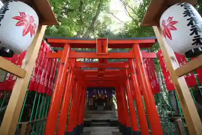 大宮八幡宮の鳥居