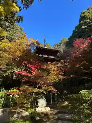 金剛輪寺(滋賀県)