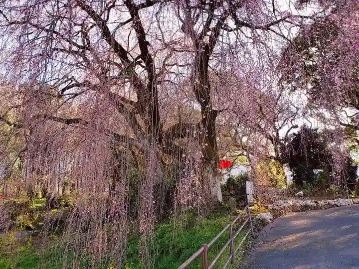 本佛寺別院 法華原(福岡県)