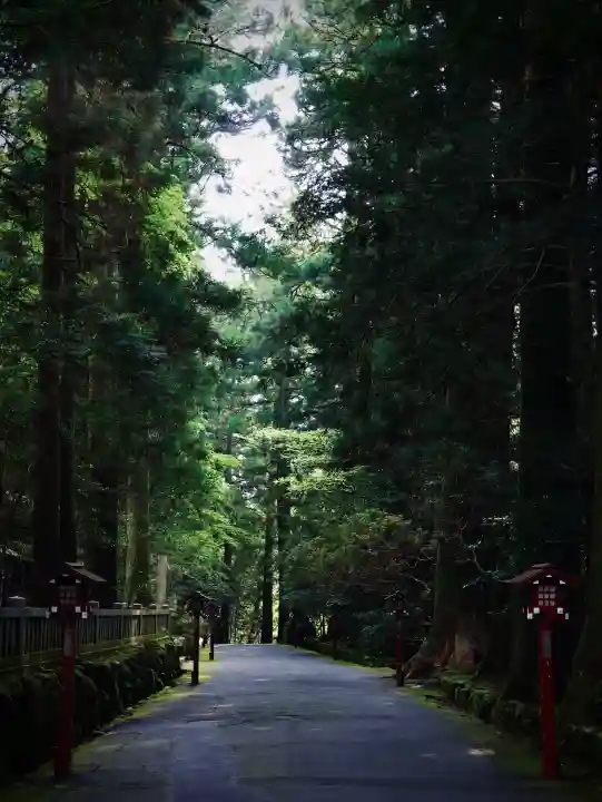 箱根神社の{uncategorized: "未分類", other: "その他", undefined: "問題あり", building: "その他建物", grave: "お墓", sacred_gate: "鳥居", guardian: "狛犬", statue: "像", buddha: "仏像", history: "歴史", nature: "自然", garden: "庭園", animal: "動物", pagoda: "塔", temizu: "手水舎", mountain_gate: "山門・神門", sanctuary: "本殿・本堂", subordinate: "末社・摂社", art: "芸術", scenery: "景色", jizo: "地蔵", ema: "絵馬", goshuin: "御朱印", omikuji: "おみくじ", items: "授与品その他", amulet: "お守り", goshuincho: "御朱印帳", eats: "食事", festival: "お祭り", votive_dance: "神楽", shichigosan: "七五三参", wedding: "結婚式", experience: "体験その他", initially: "初詣", around: "周辺", anti_infection: "感染症対策"}