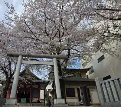 浅草富士浅間神社(東京都)