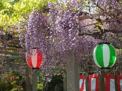 惣社神社の自然