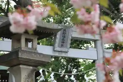 熊野福藏神社の鳥居