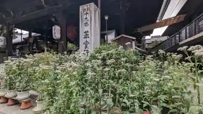 行願寺（革堂）(京都府)