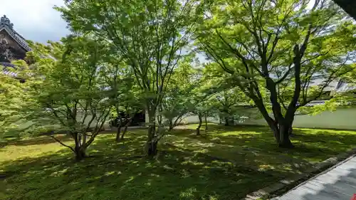 妙覺寺（妙覚寺）(京都府)
