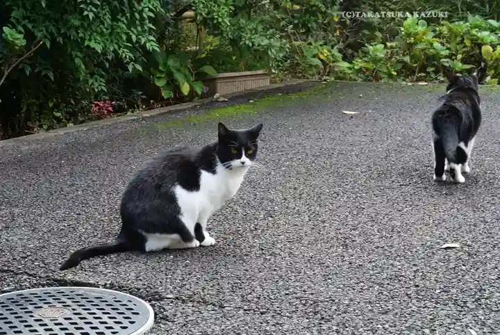 白金氷川神社(東京都)