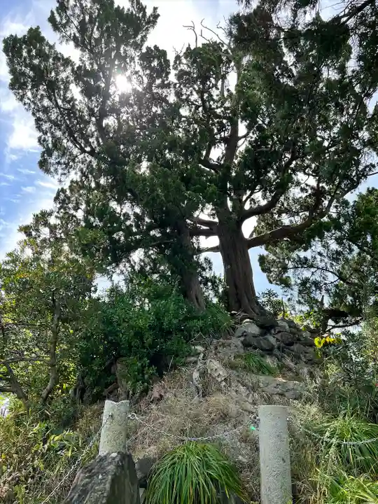 森戸大明神(森戸神社)(神奈川県)