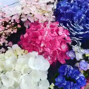 豊景神社の手水舎(2020年07月05日(日) 15時43分16秒投稿)