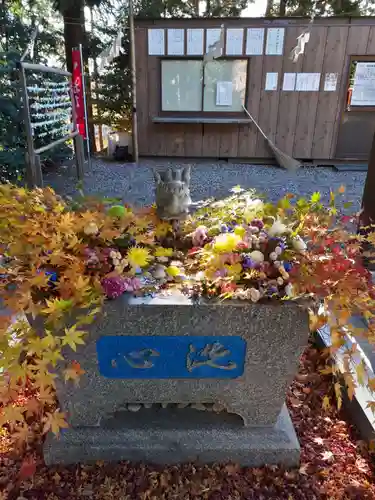滑川神社 - 仕事と子どもの守り神の手水舎