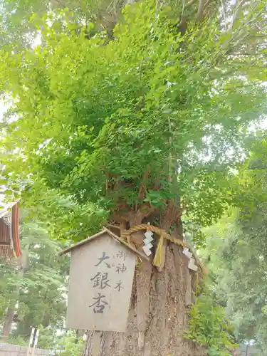 津島神社(宮城県)