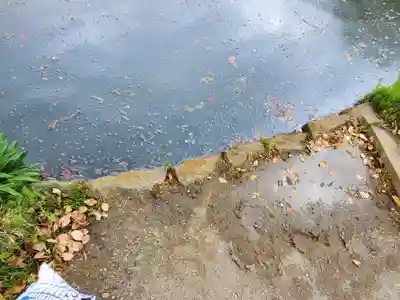 大天白神社(埼玉県)