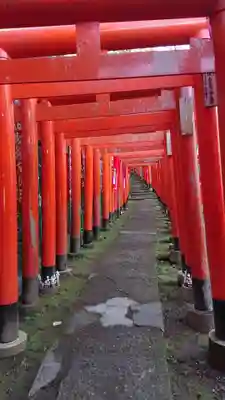 佐助稲荷神社の鳥居