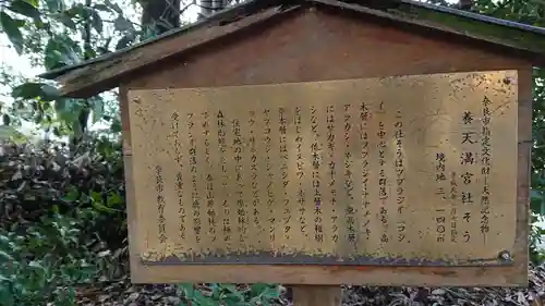 養天満宮の歴史