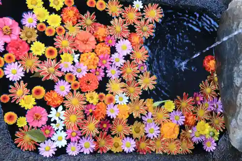 大鏑神社の手水舎