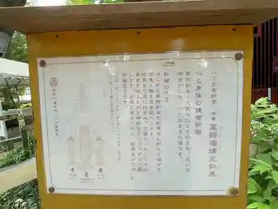 上野大佛(東京都)