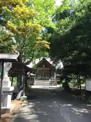 大麻神社の本殿