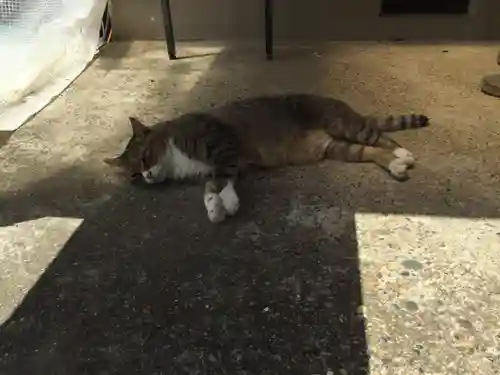 鎌数伊勢大神宮の動物