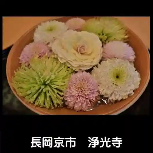 浄光寺(京都府)