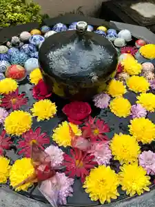 神楽坂安養寺(東京都)(2024年10月19日(土) 11時10分21秒投稿)