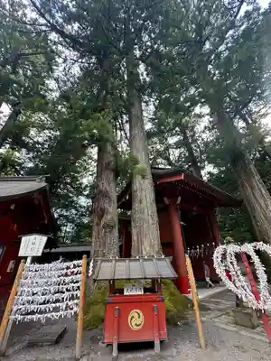 宇都宮二荒山神社(栃木県)