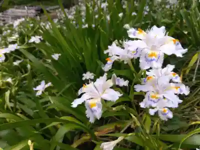 西光寺(福井県)