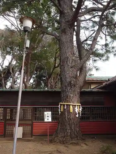 前原御嶽神社(千葉県)