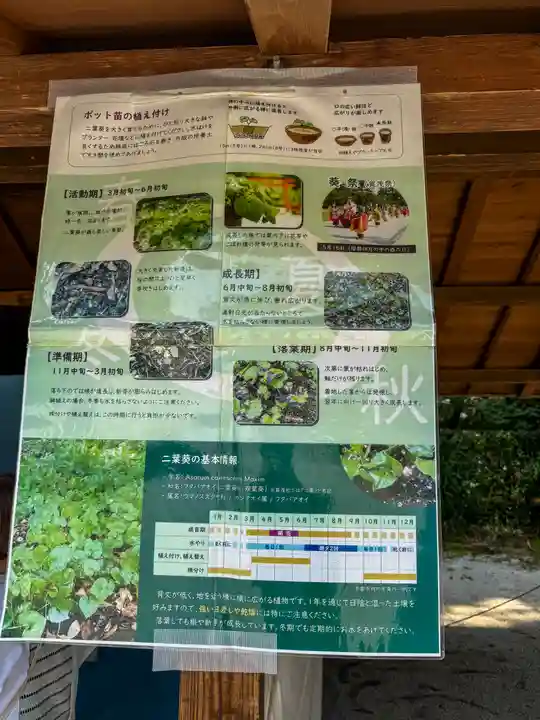 賀茂別雷神社(上賀茂神社)(京都府)