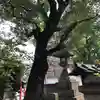 春日神社の自然