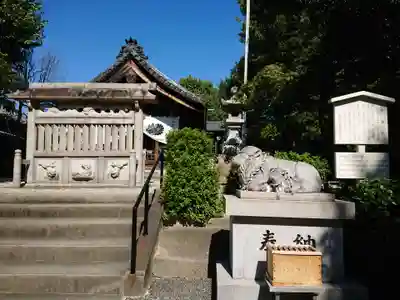 羊神社の狛犬