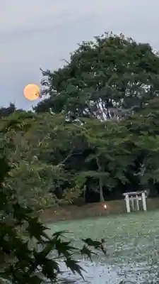大覚寺(京都府)