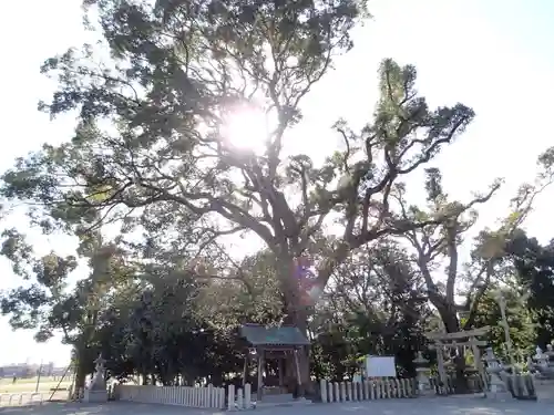 曽禰神社の自然