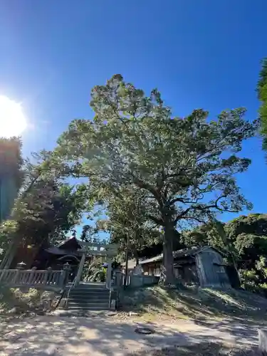 宇部八幡神社の建物その他