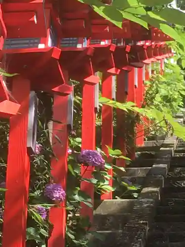 遠見岬神社の鳥居