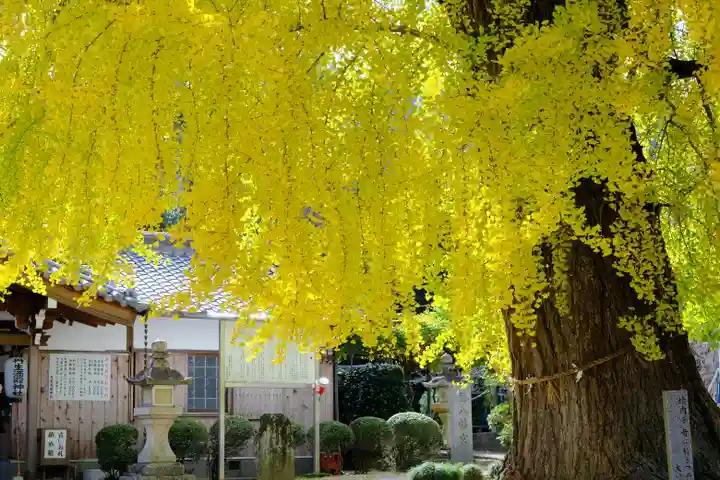 丹生酒殿神社(和歌山県)
