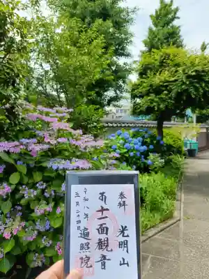 遍照院の{uncategorized: "未分類", other: "その他", undefined: "問題あり", building: "その他建物", grave: "お墓", sacred_gate: "鳥居", guardian: "狛犬", statue: "像", buddha: "仏像", history: "歴史", nature: "自然", garden: "庭園", animal: "動物", pagoda: "塔", temizu: "手水舎", mountain_gate: "山門・神門", sanctuary: "本殿・本堂", subordinate: "末社・摂社", art: "芸術", scenery: "景色", jizo: "地蔵", ema: "絵馬", goshuin: "御朱印", omikuji: "おみくじ", items: "授与品その他", amulet: "お守り", goshuincho: "御朱印帳", eats: "食事", festival: "お祭り", votive_dance: "神楽", shichigosan: "七五三参", wedding: "結婚式", experience: "体験その他", initially: "初詣", around: "周辺", anti_infection: "感染症対策"}
