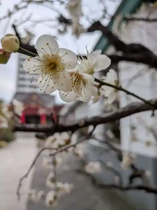 成子天神社(東京都)