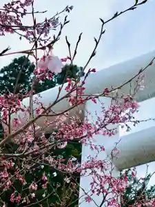 土津神社|こどもと出世の神さまの自然(2021年04月14日(水) 14時31分11秒投稿)