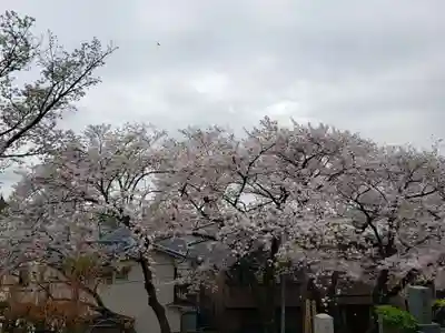 東光寺(東京都)