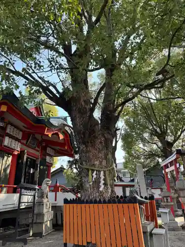 我堂八幡宮(大阪府)