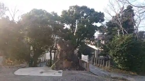 中村八幡宮の庭園