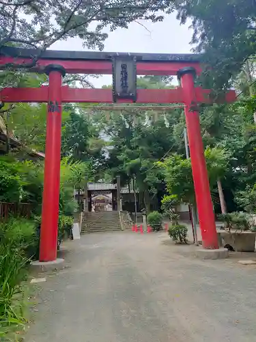 日根神社の鳥居