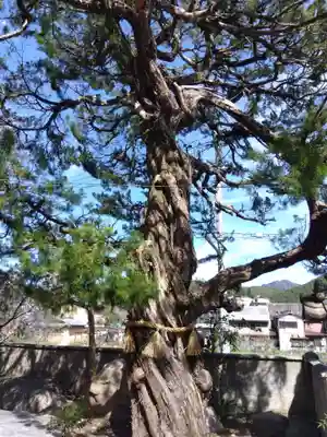 慈眼寺(京都府)
