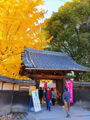 祐専寺の山門・神門