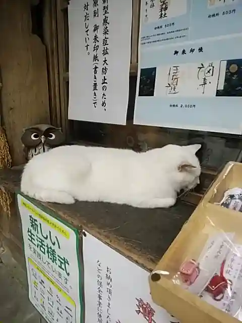 伊佐須美神社の動物