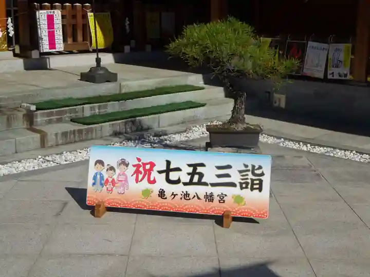 亀ケ池八幡宮の七五三参