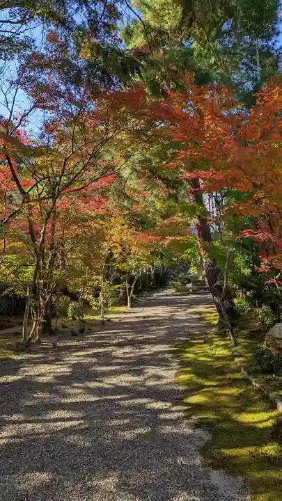 妙祐久遠寺(京都府)